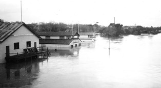 Geelong College Boat Shed Barwon Flood, 1952. (Holmes).